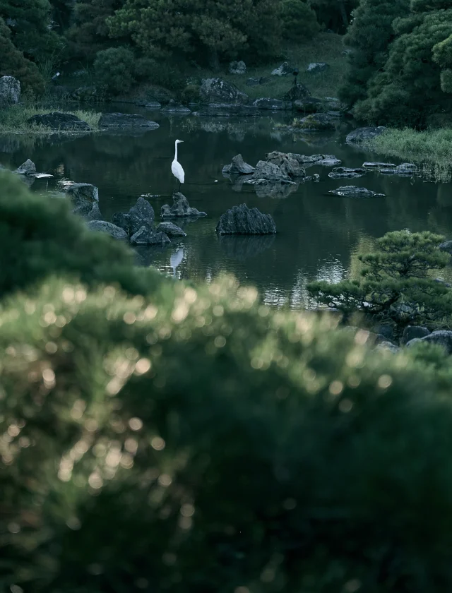 過ごし方